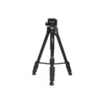 JMARY KP 2254 02