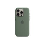 Olive 1 1