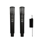 Green Lion Wireless Dual Mic Cordless Microphone